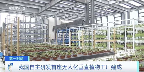 世界初！中國獨自開発の自動化垂直植物工場、生物技術普及サービスを牽引